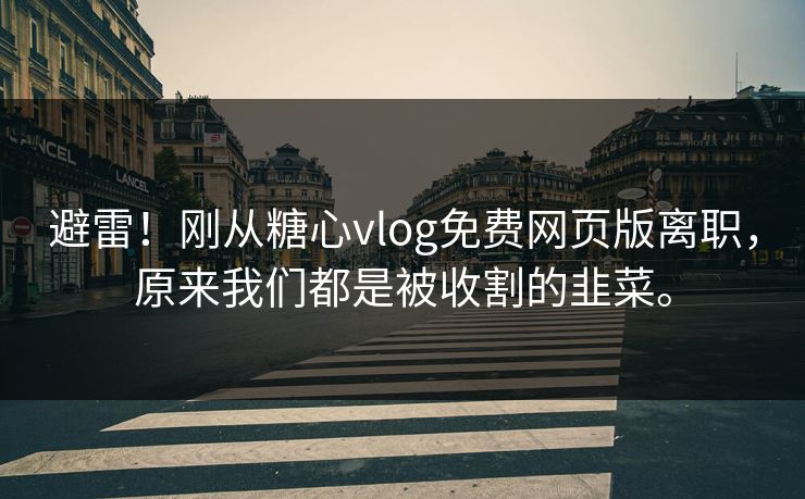 避雷！刚从糖心vlog免费网页版离职，原来我们都是被收割的韭菜。