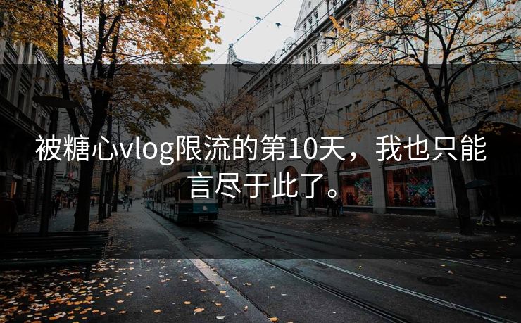 被糖心vlog限流的第10天，我也只能言尽于此了。